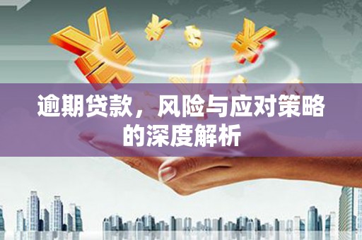 曲麻莱逾期贷款，风险与应对策略的深度解析