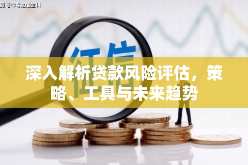 曲麻莱深入解析贷款风险评估，策略、工具与未来趋势