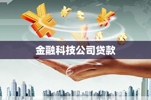 曲麻莱金融科技公司贷款