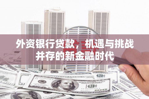 曲麻莱外资银行贷款，机遇与挑战并存的新金融时代