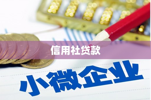 曲麻莱信用社贷款