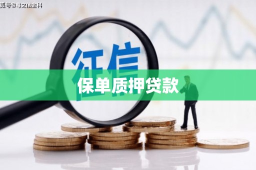 曲麻莱保单质押贷款