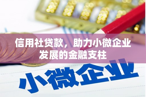 曲麻莱信用社贷款，助力小微企业发展的金融支柱