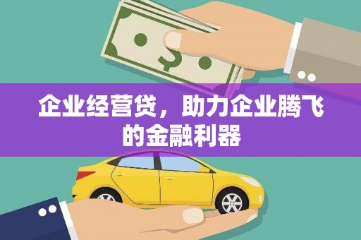 曲麻莱企业经营贷，助力企业腾飞的金融利器