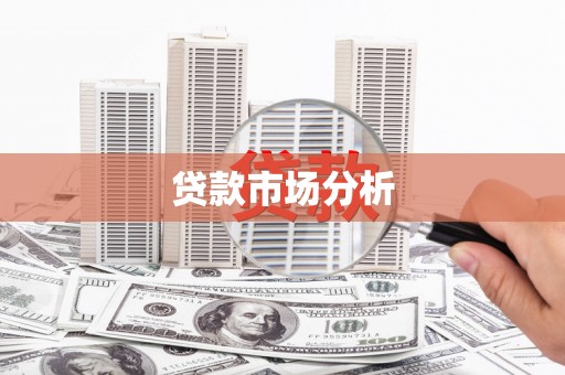 曲麻莱贷款市场分析