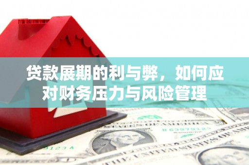 曲麻莱贷款展期的利与弊，如何应对财务压力与风险管理