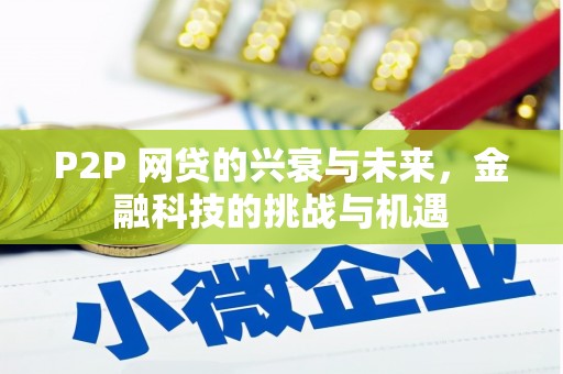 曲麻莱P2P 网贷的兴衰与未来，金融科技的挑战与机遇