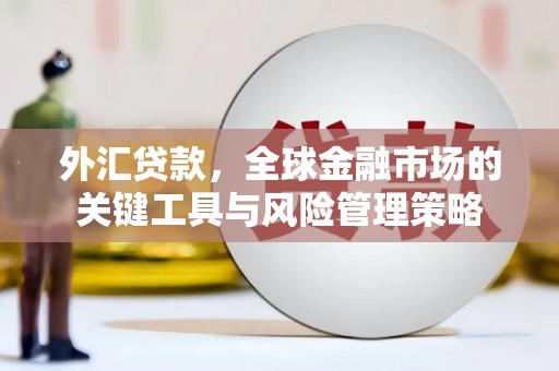 曲麻莱外汇贷款，全球金融市场的关键工具与风险管理策略