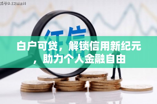 曲麻莱白户可贷，解锁信用新纪元，助力个人金融自由