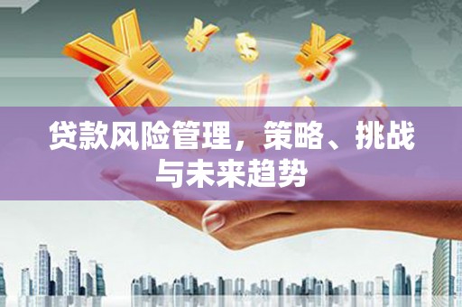 曲麻莱贷款风险管理，策略、挑战与未来趋势
