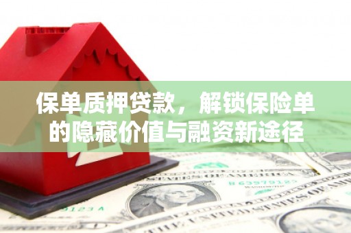 曲麻莱保单质押贷款，解锁保险单的隐藏价值与融资新途径