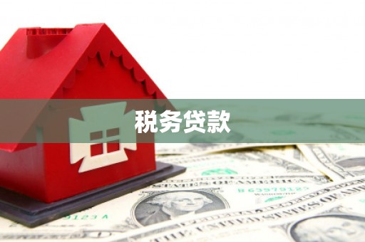 曲麻莱税务贷款