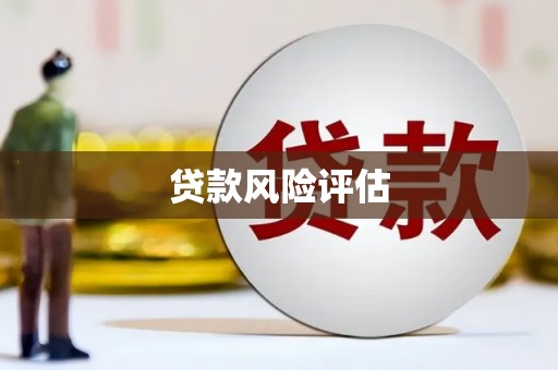 曲麻莱贷款风险评估