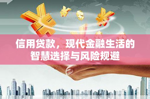 曲麻莱信用贷款，现代金融生活的智慧选择与风险规避