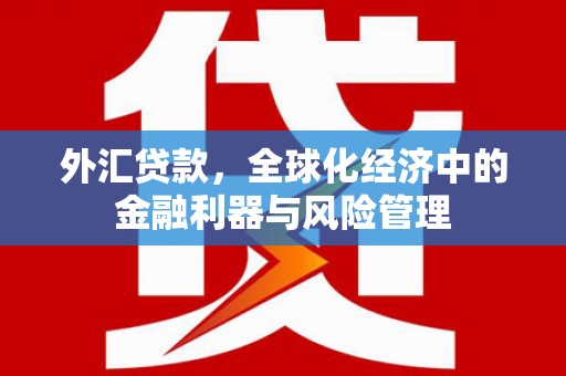 曲麻莱外汇贷款，全球化经济中的金融利器与风险管理