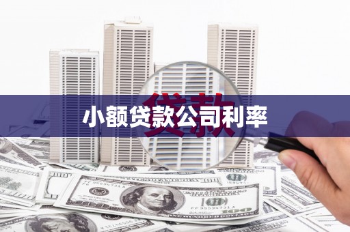曲麻莱小额贷款公司利率