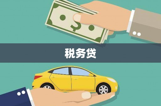 曲麻莱税务贷