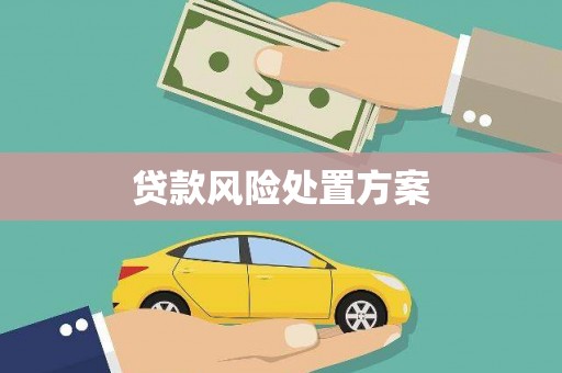 曲麻莱贷款风险处置方案