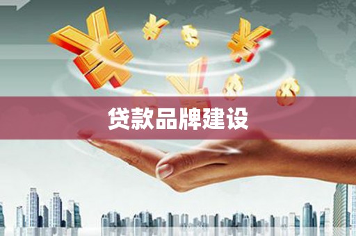 曲麻莱贷款品牌建设
