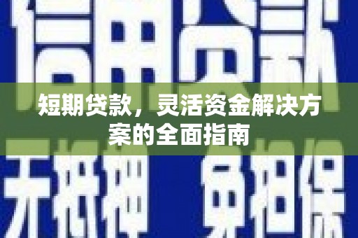 曲麻莱短期贷款，灵活资金解决方案的全面指南