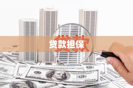 曲麻莱贷款担保