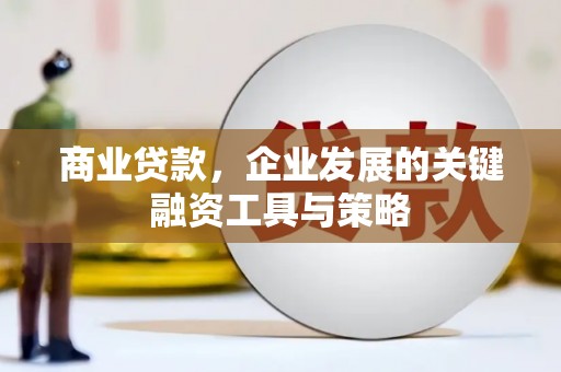 曲麻莱商业贷款，企业发展的关键融资工具与策略