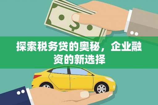 曲麻莱探索税务贷的奥秘，企业融资的新选择