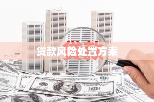 曲麻莱贷款风险处置方案