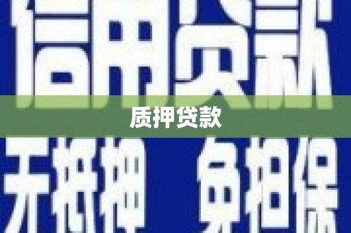 曲麻莱质押贷款