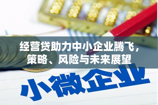 曲麻莱经营贷助力中小企业腾飞，策略、风险与未来展望