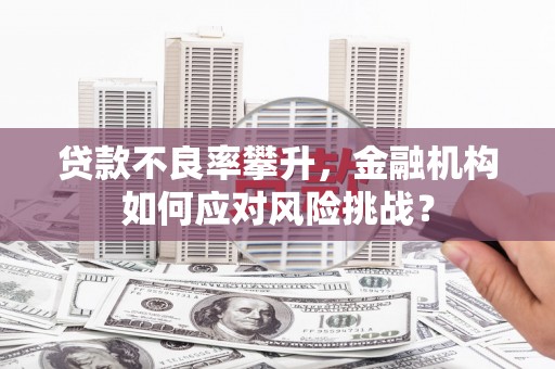 曲麻莱贷款不良率攀升，金融机构如何应对风险挑战？