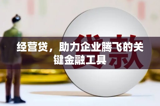 曲麻莱经营贷，助力企业腾飞的关键金融工具