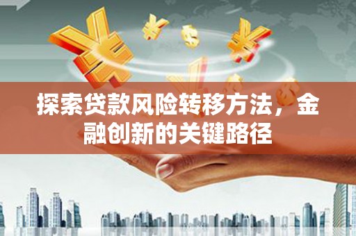 曲麻莱探索贷款风险转移方法，金融创新的关键路径
