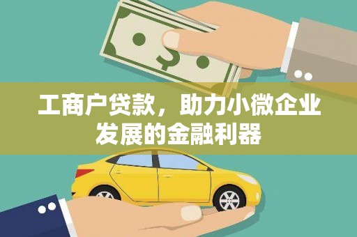 曲麻莱工商户贷款，助力小微企业发展的金融利器