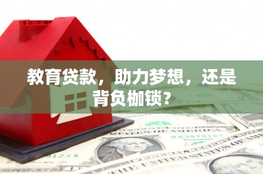 曲麻莱教育贷款，助力梦想，还是背负枷锁？