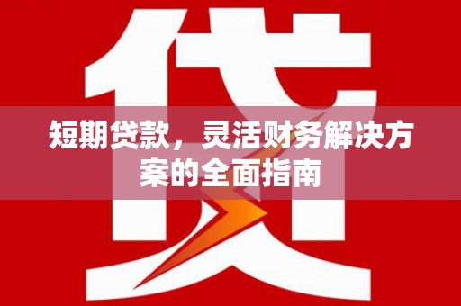 曲麻莱短期贷款，灵活财务解决方案的全面指南