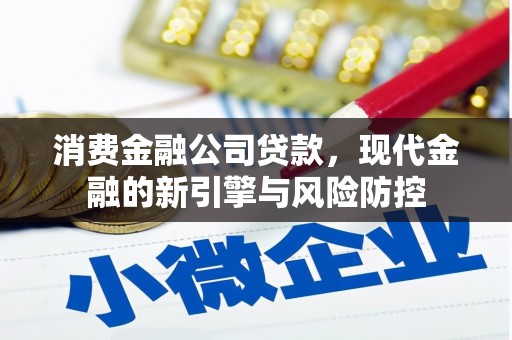 曲麻莱消费金融公司贷款，现代金融的新引擎与风险防控