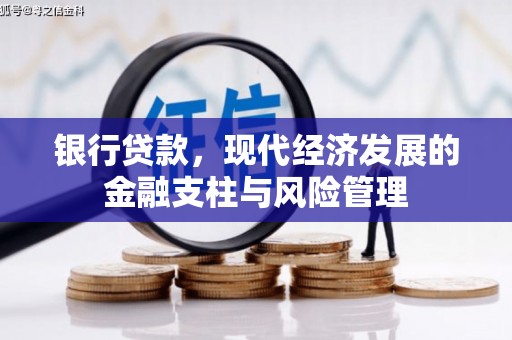 曲麻莱银行贷款，现代经济发展的金融支柱与风险管理