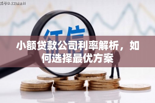 曲麻莱小额贷款公司利率解析，如何选择最优方案