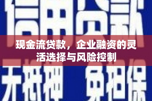 曲麻莱现金流贷款，企业融资的灵活选择与风险控制
