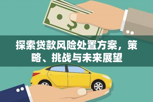 曲麻莱探索贷款风险处置方案，策略、挑战与未来展望