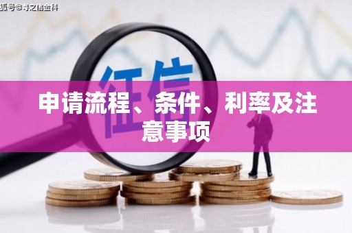 曲麻莱申请流程、条件、利率及注意事项