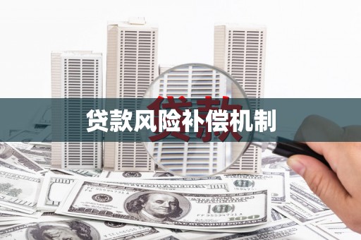 曲麻莱贷款风险补偿机制
