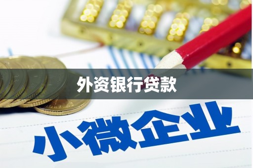 曲麻莱外资银行贷款
