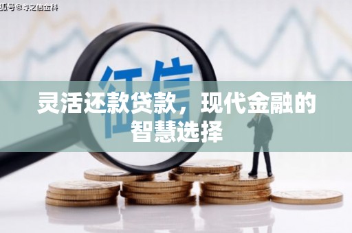 曲麻莱灵活还款贷款，现代金融的智慧选择