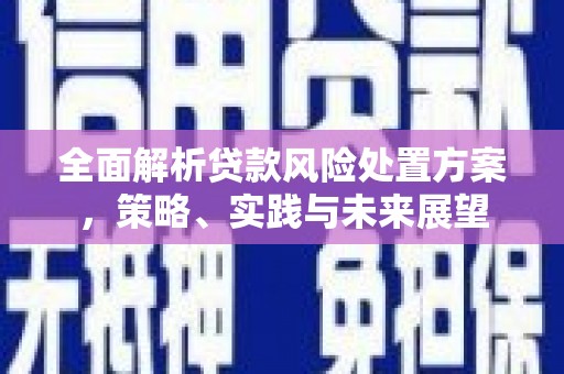 曲麻莱全面解析贷款风险处置方案，策略、实践与未来展望