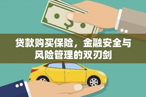 曲麻莱贷款购买保险，金融安全与风险管理的双刃剑