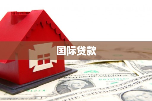 曲麻莱国际贷款