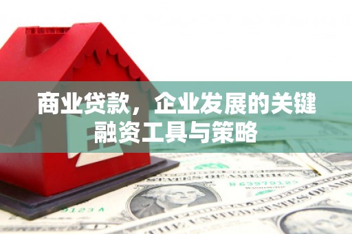 曲麻莱商业贷款，企业发展的关键融资工具与策略