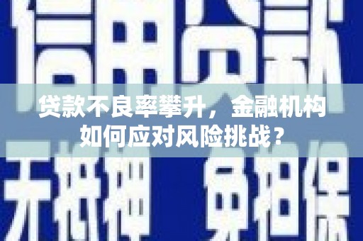 曲麻莱贷款不良率攀升，金融机构如何应对风险挑战？